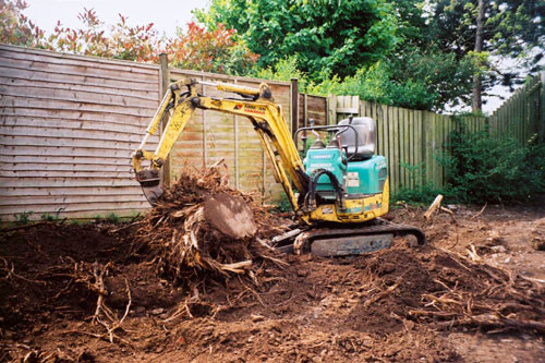 Removing a tree stump